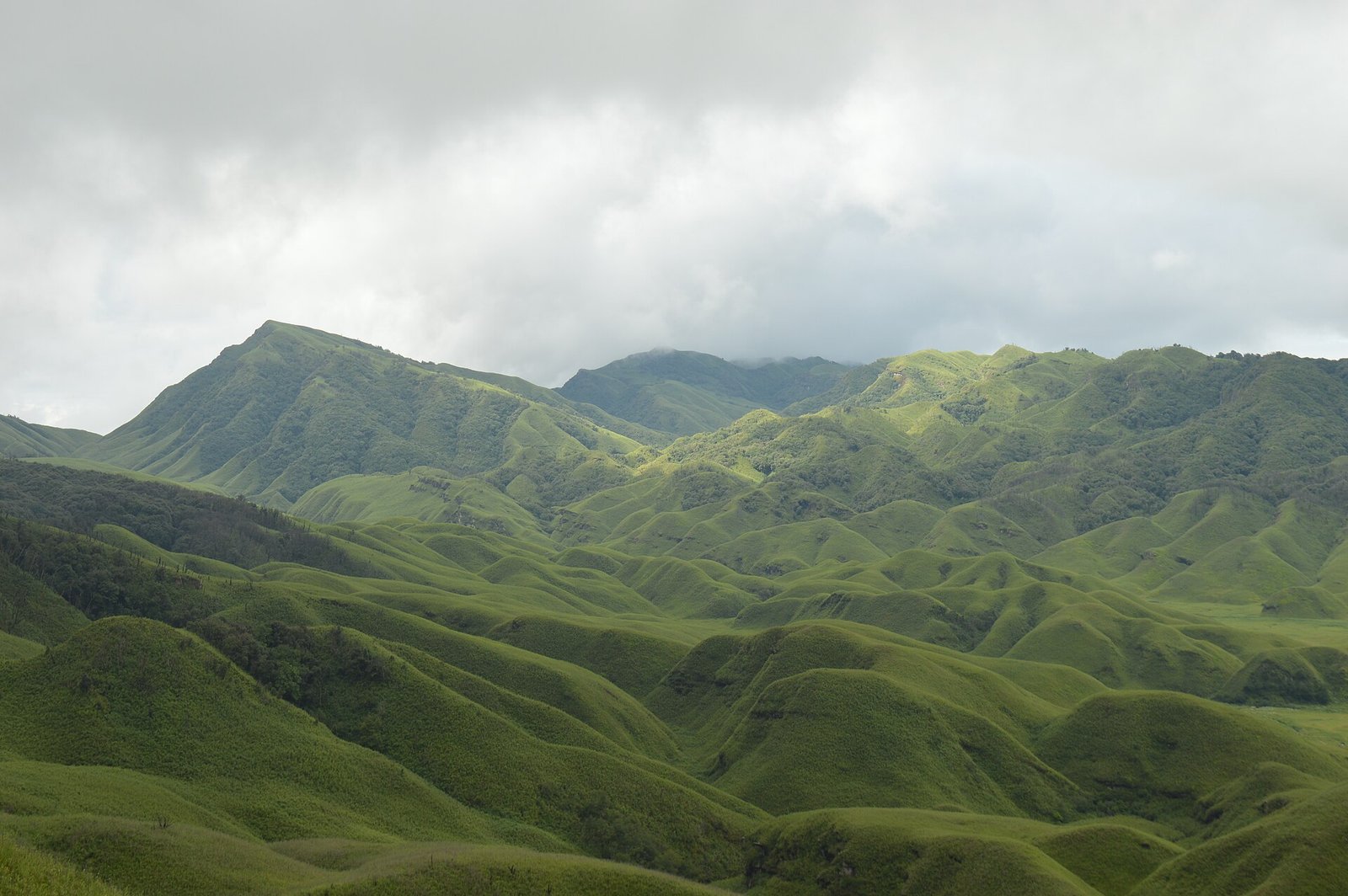 Rolling green hills of Dzükou Valley, Nagaland