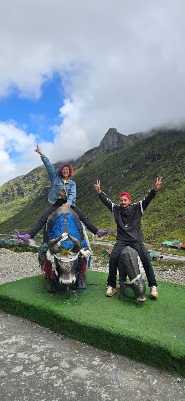 Guests with yak statues at a mountain viewpoint