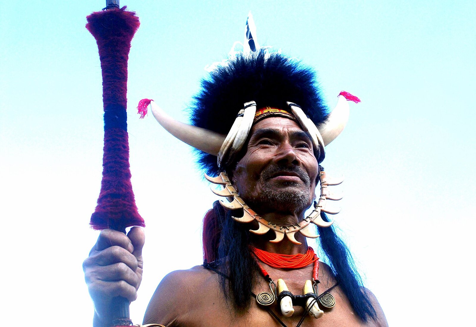 Naga warrior in traditional hornbill headdress at the Hornbill Festival, Nagaland